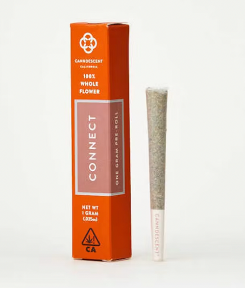 Canndescent - Pre-Roll Single - Connect - Tres Leches 1g